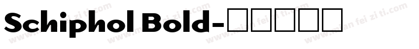 Schiphol Bold字体转换